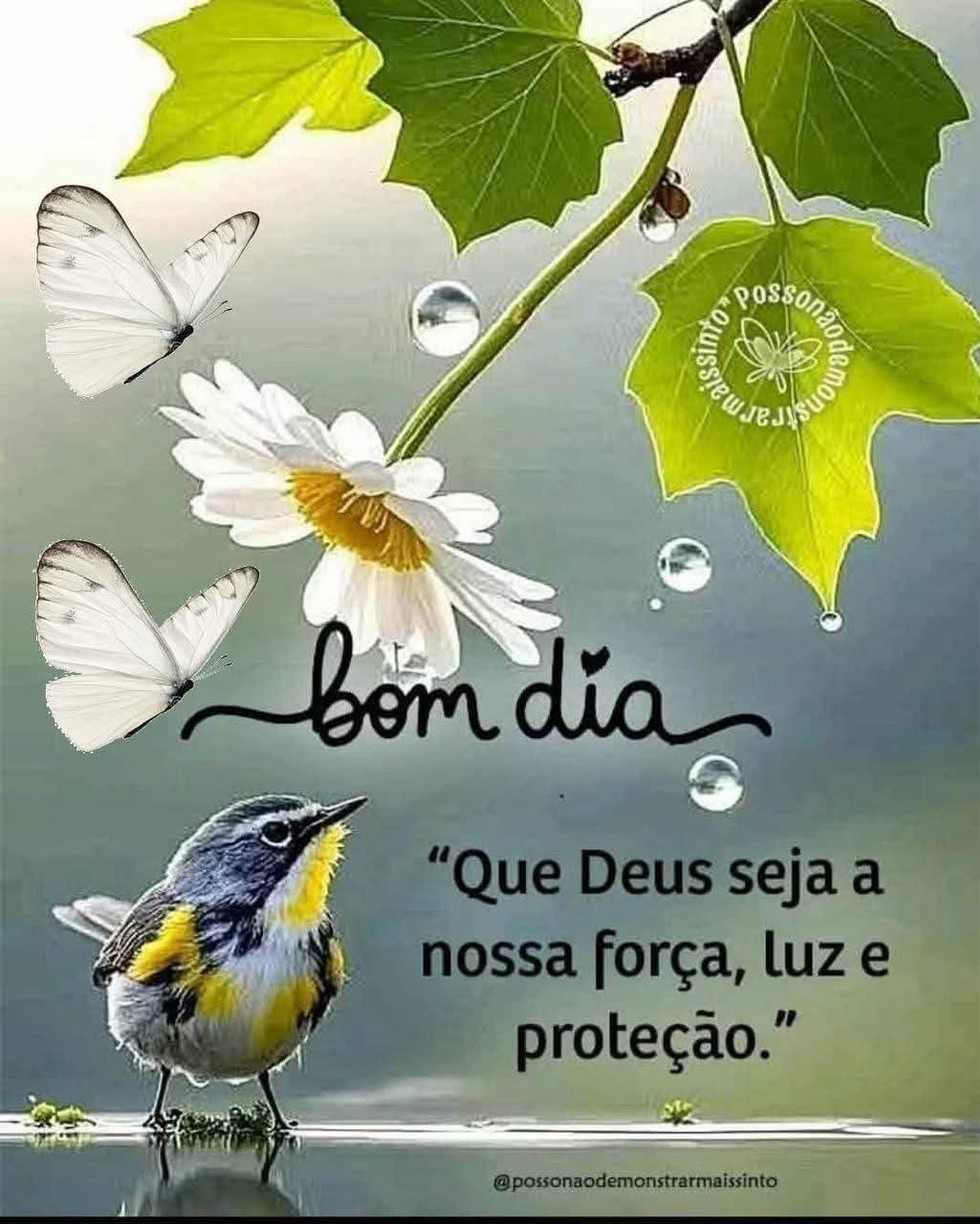 Ir Para